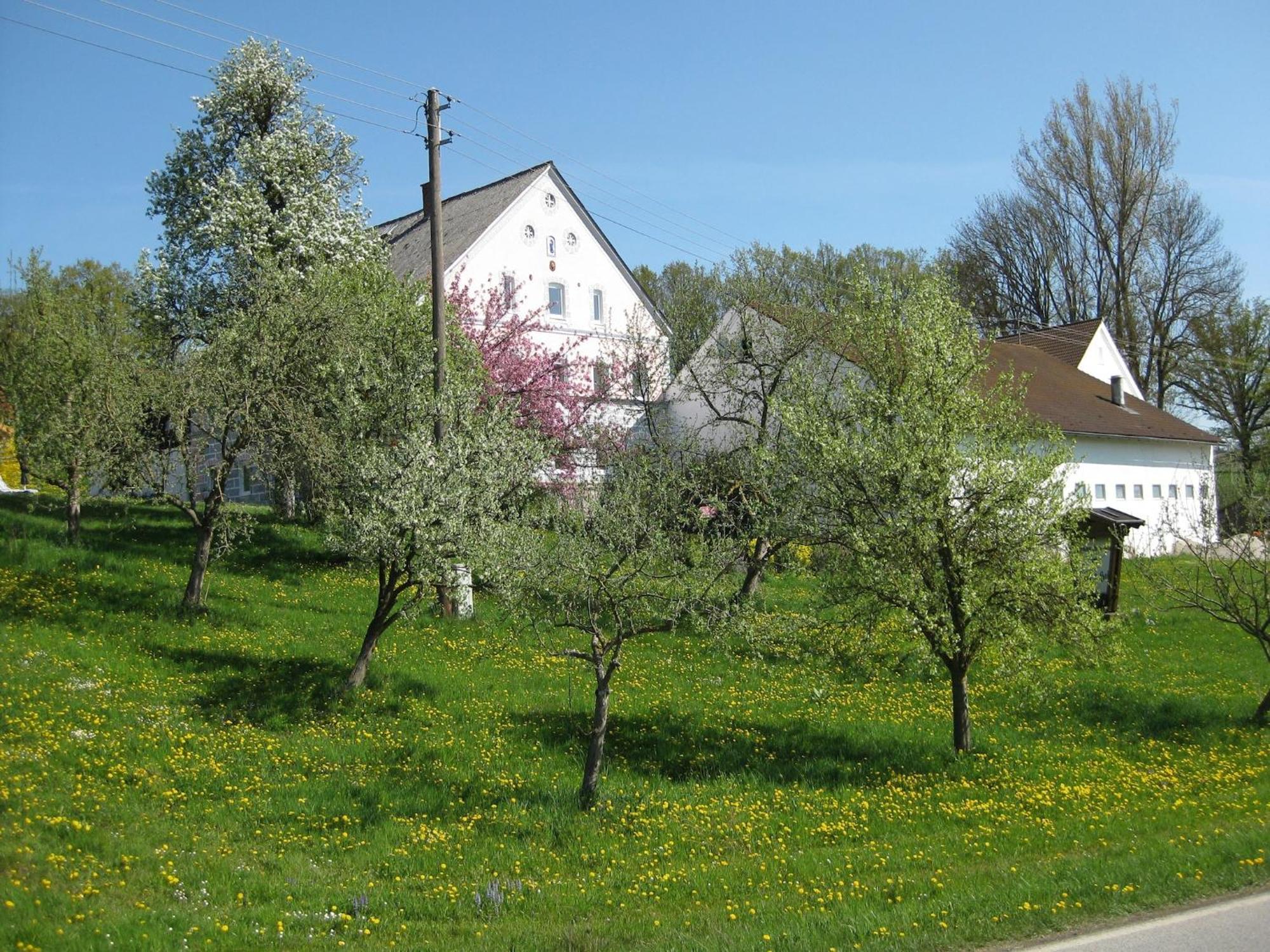 Comfortable Apartments In Rotthalm Nster Rotthalmuenster Buitenkant foto
