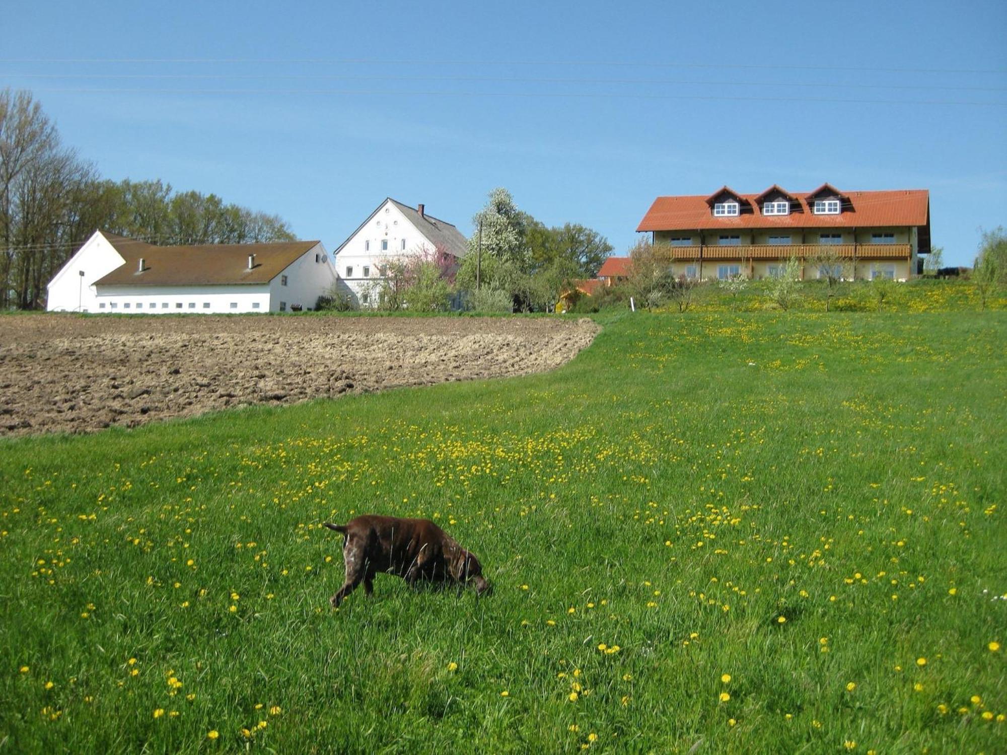 Comfortable Apartments In Rotthalm Nster Rotthalmuenster Buitenkant foto