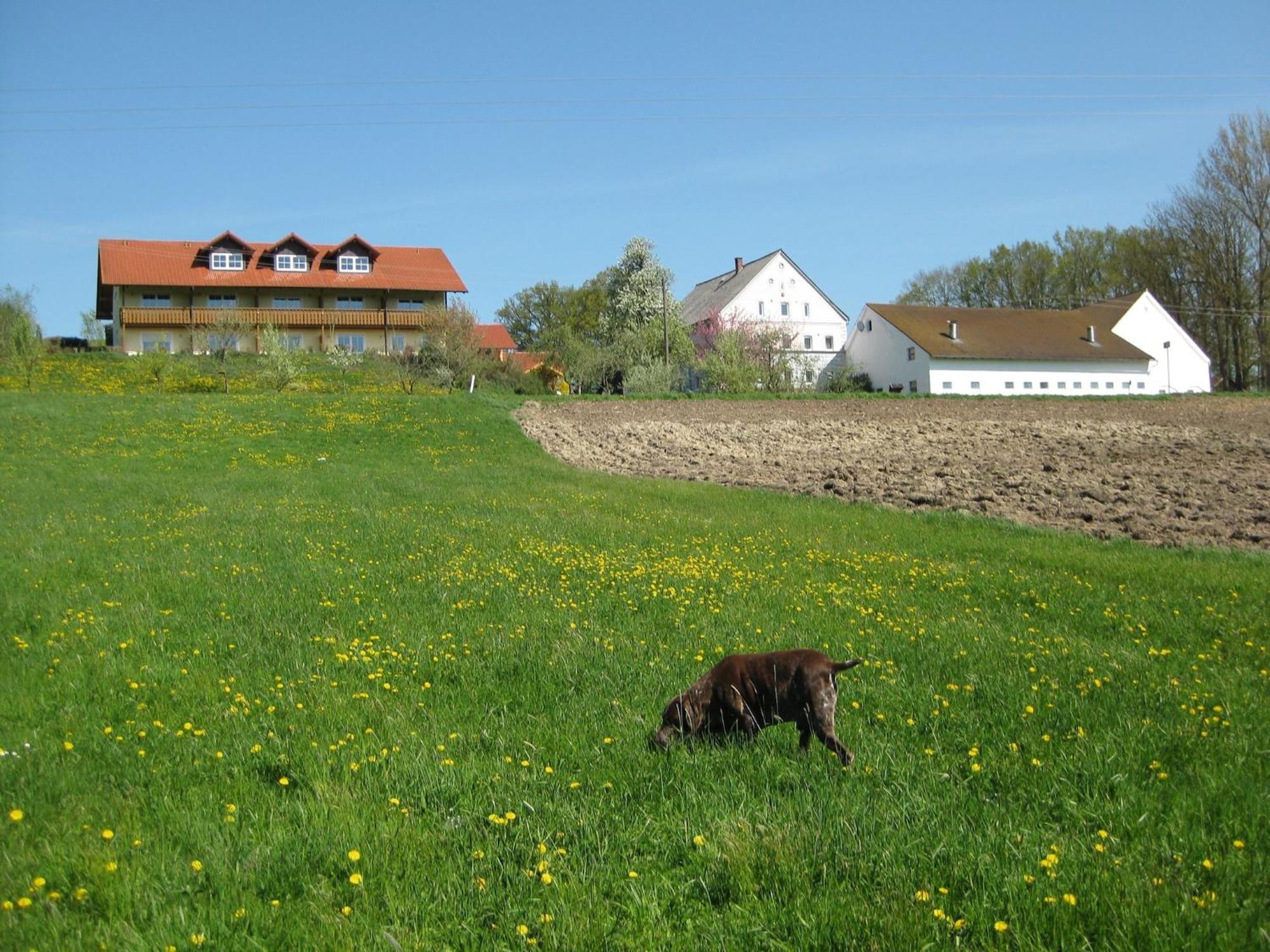 Comfortable Apartments In Rotthalm Nster Rotthalmuenster Buitenkant foto
